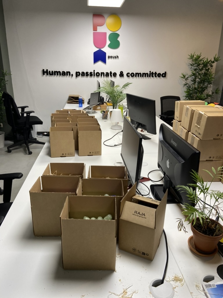 Poush, the best SEO agency in Belgium